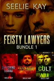 Feisty Lawyers Bundle 1 by Seelie Kay