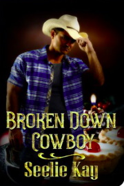 Broken Down Cowboy by Seelie Kay