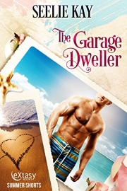 The Garage Dweller by Seelie Kay