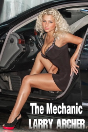 The Mechanic by Larry Archer