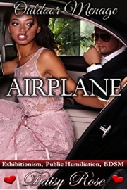 Airplane: Outdoor Menage 1 by Daisy Rose 