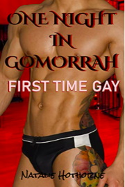 One Night In Gomorrah: First Time Gay by Natalie Hothorne
