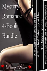 Mystery Romance 4-Book Bundle by Daisy Rose