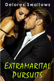 Extramarital Pursuits: The Complete Trilogy by Delores Swallows